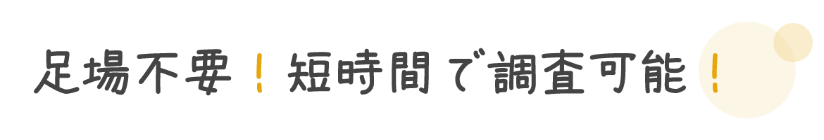 足場不要！短時間で調査可能！